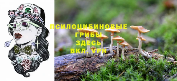 a pvp Армянск