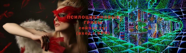 a pvp Армянск