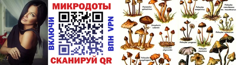 Псилоцибиновые грибы Psilocybe  Купить где  Мезень 